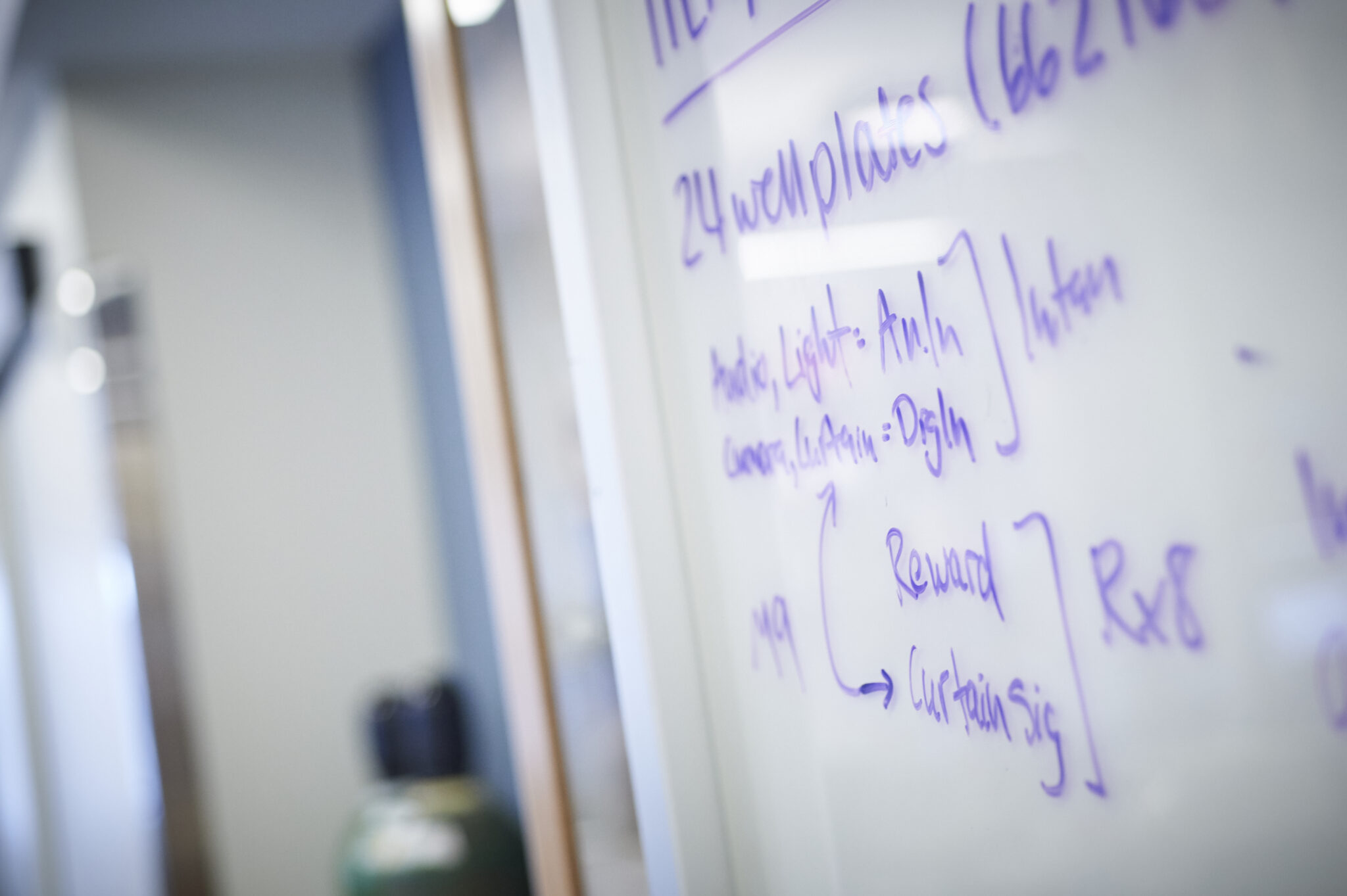 A dry erase board with writing