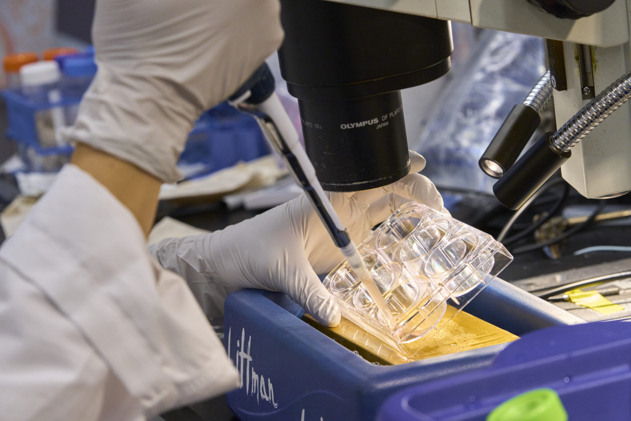 Gloved hands inserting a substance using a syringe