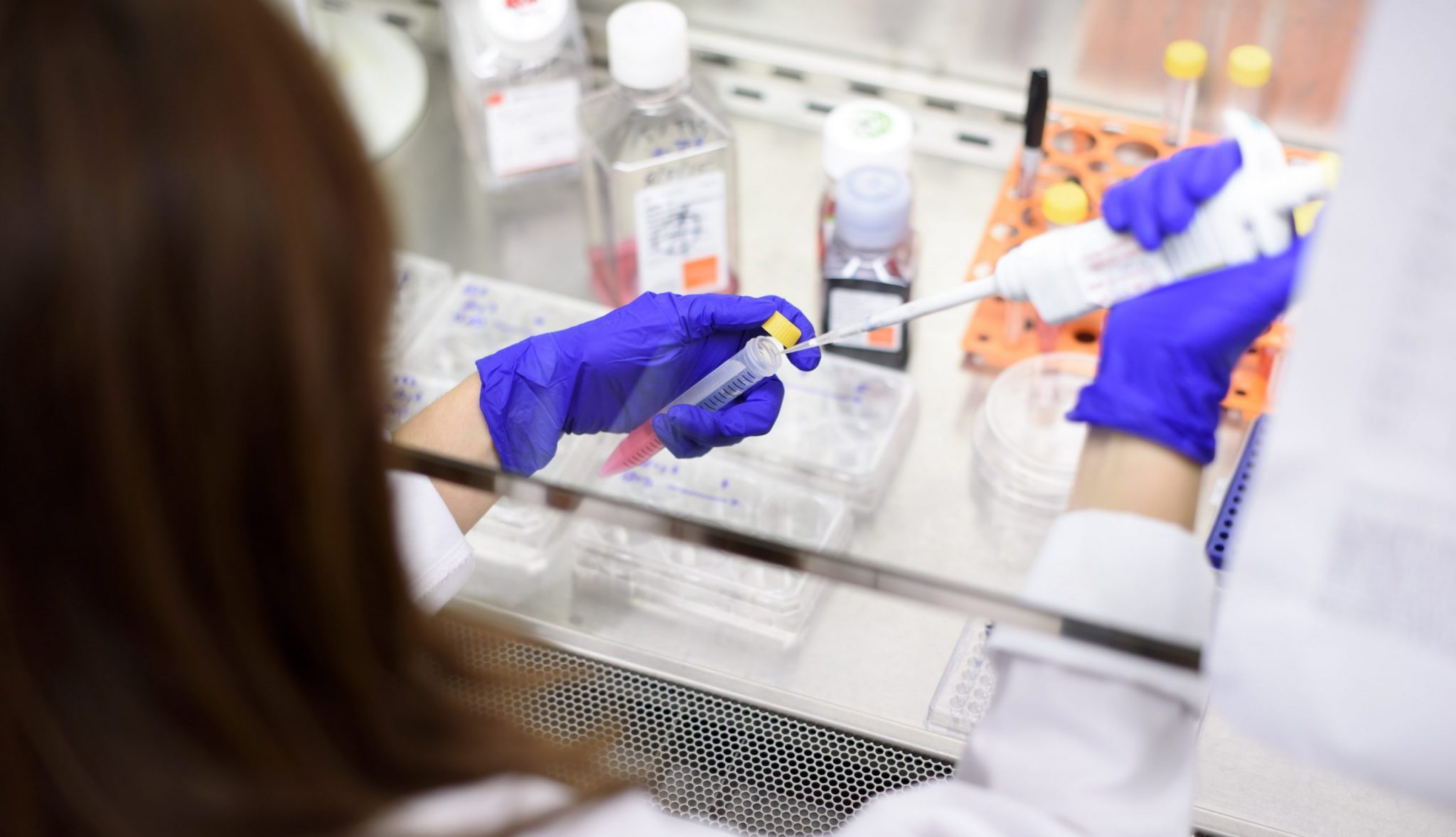 A researcher wearing gloves performing work in a laboratory