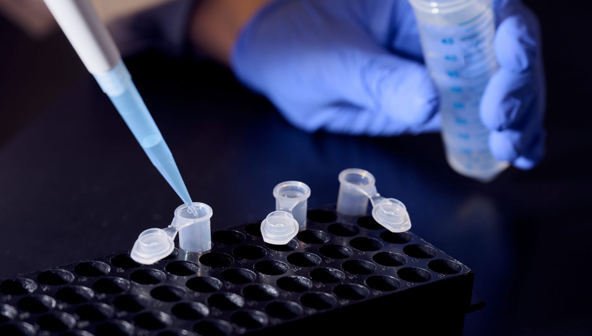 Gloved hands inserting liquid into small vials